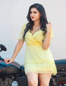 Visakhapatnam call girls